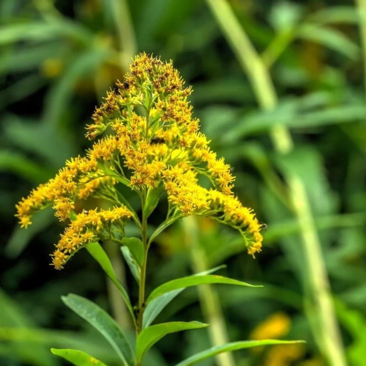 d337e1a990b1ae756048615b5795e962