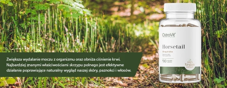 da8fe47e40c6b3cb40ef48b0dc5d7714