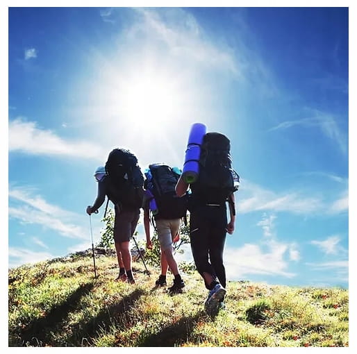 d0b0461ffa0dda5c2ee59bf49bc38d2f