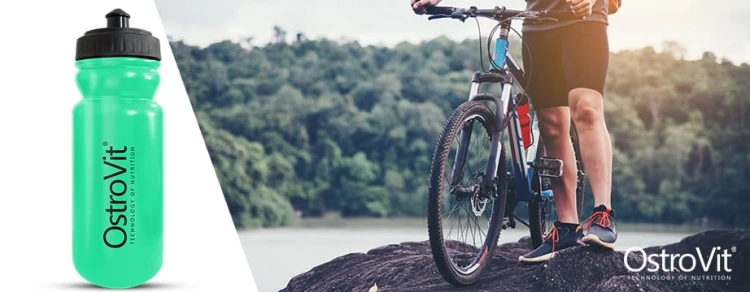 92abe6efd2387aeb17533cbfc2f81feb