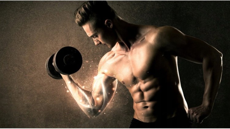 5613be6cb09fc91de6cc73891b0f51ca