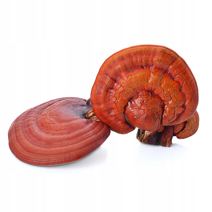 286ad4e70fcc18e51c62c6ca80080dd1