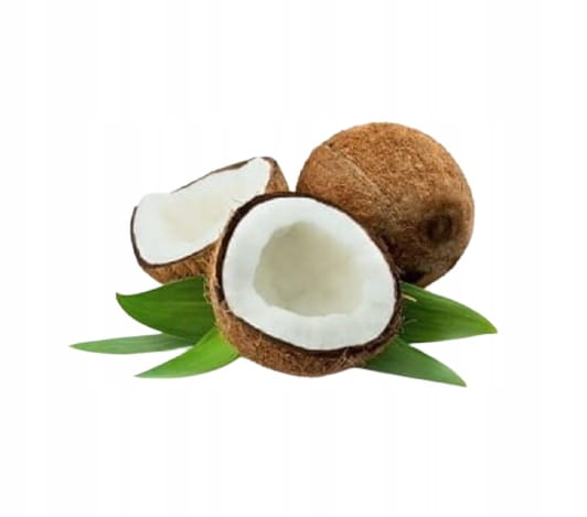 b56ba1a0ce0bbd9d2a19f54c0ec47a6e