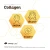 olimp_collagen_5_1.webp